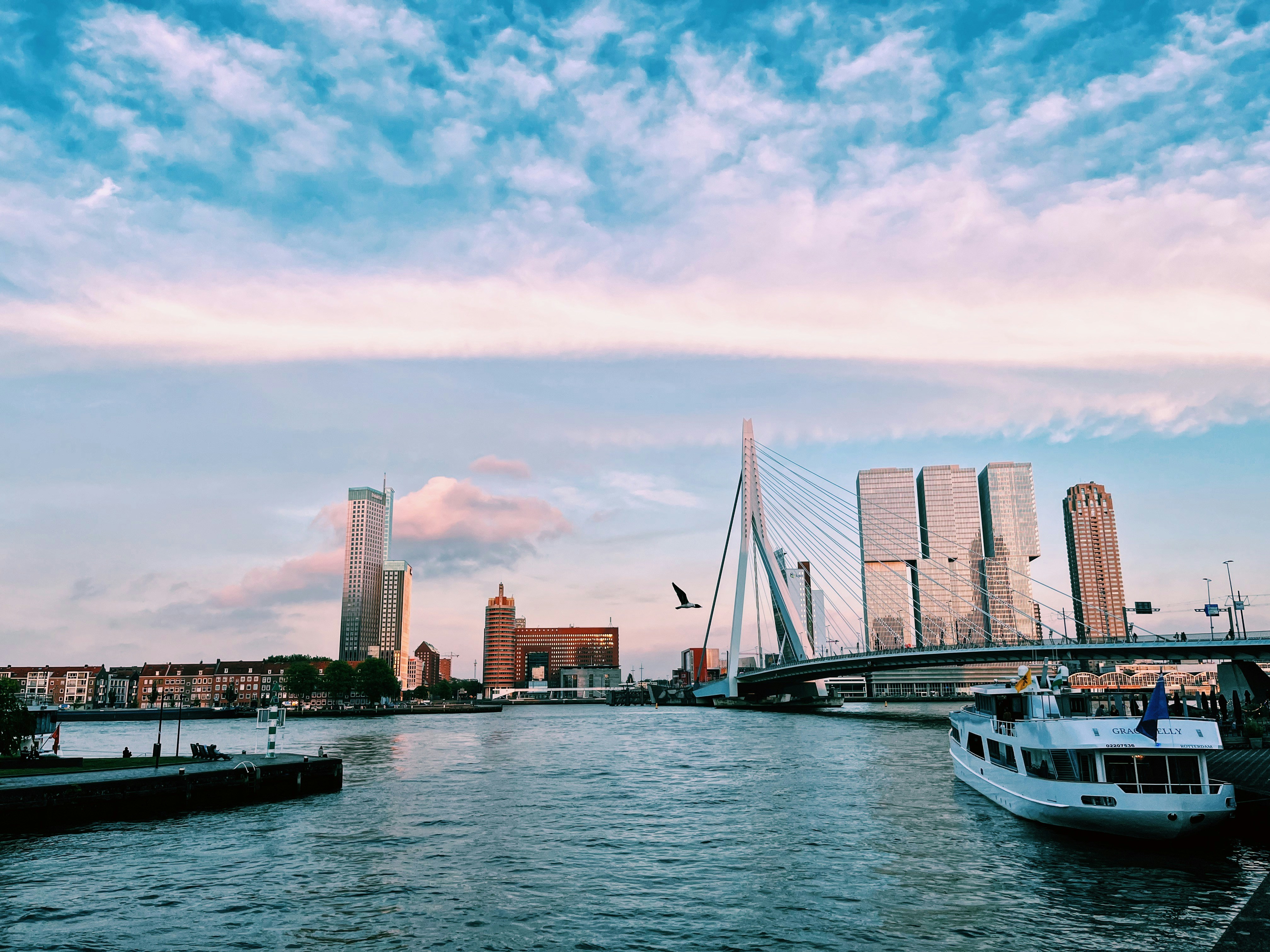 Photo by dianadragoi