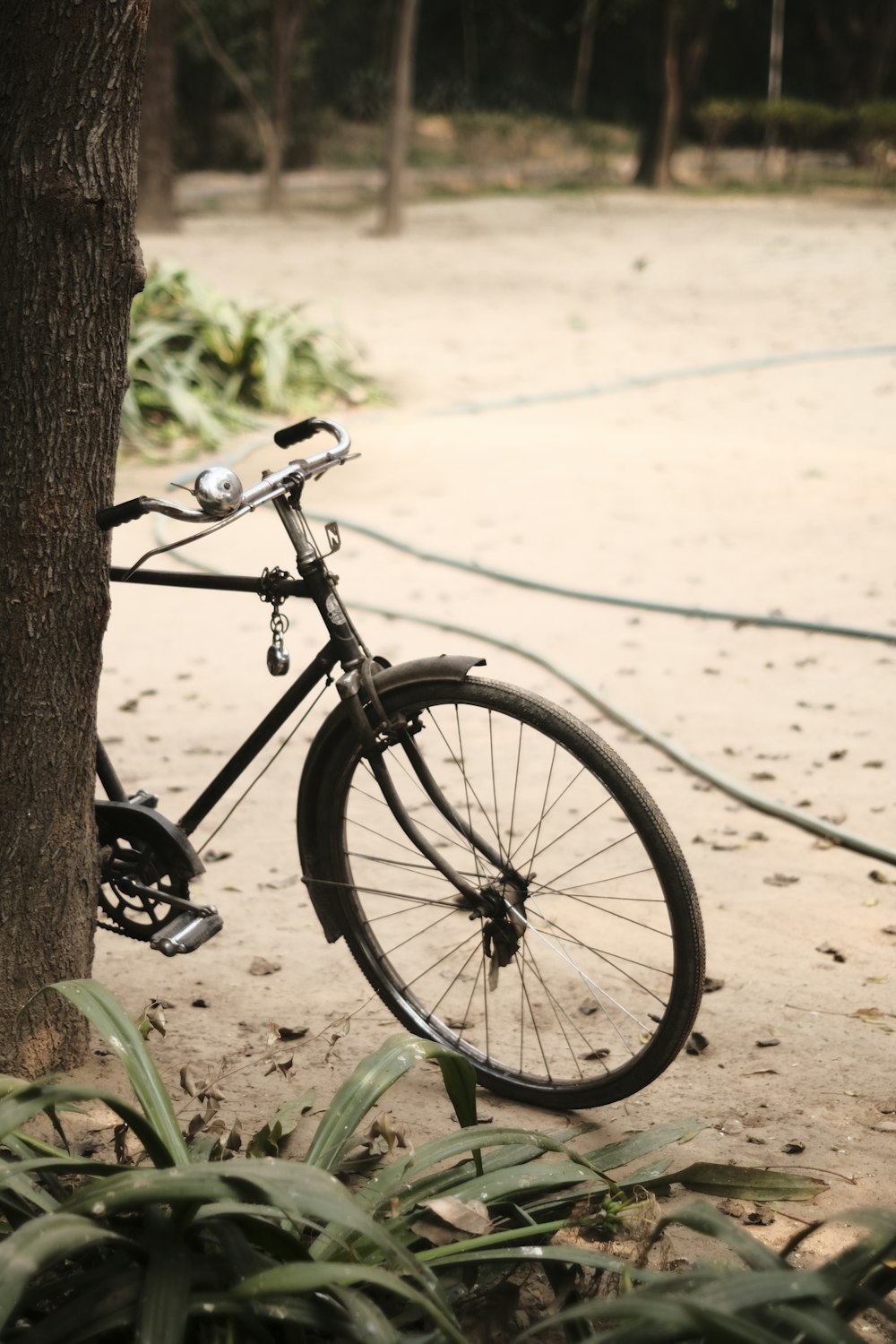 a bicycle parked next to a tree in a park