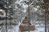 Mountain cabin nestled among tall pine trees with smoke from the chimney.