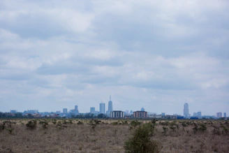 A wide open plot of land ready for development with city skyline in the distance.