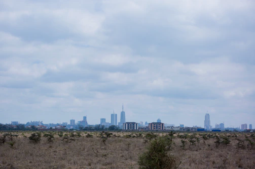 A wide open plot of land ready for development with city skyline in the distance.