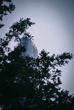 A tall, cylindrical glass building with the letters 'IFC' visible near the top is partially obscured by dark silhouetted tree branches. The background sky is a pale gray, suggesting a time around dusk or dawn.