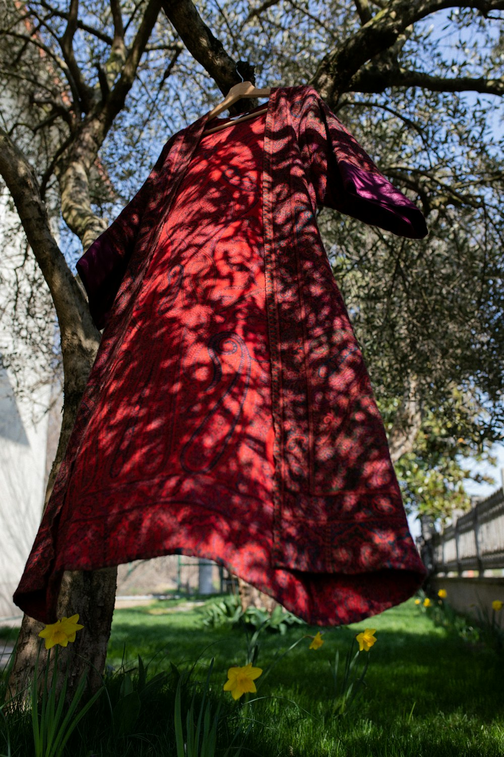 a red dress hanging from a tree in a park