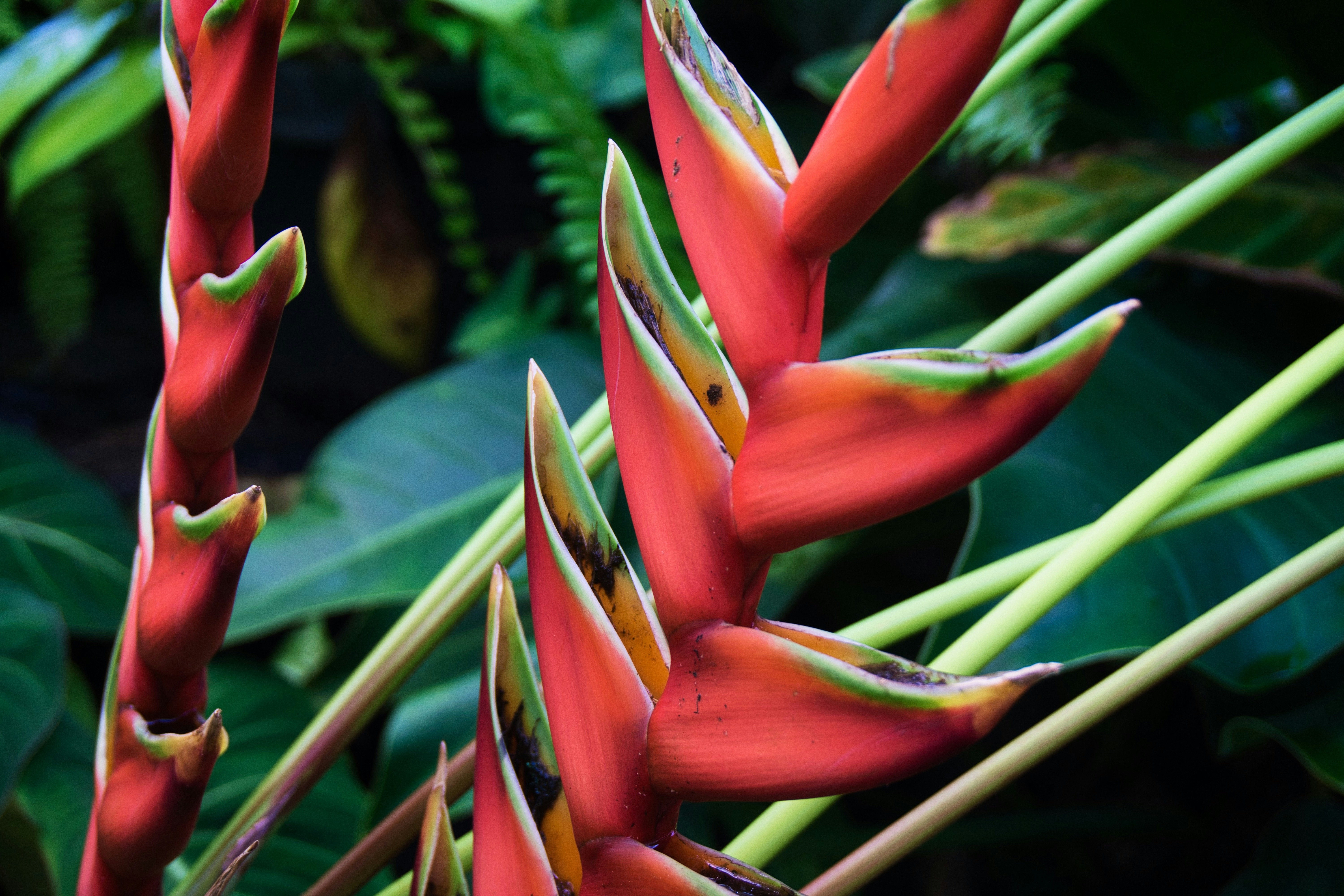 Photo by summerfield