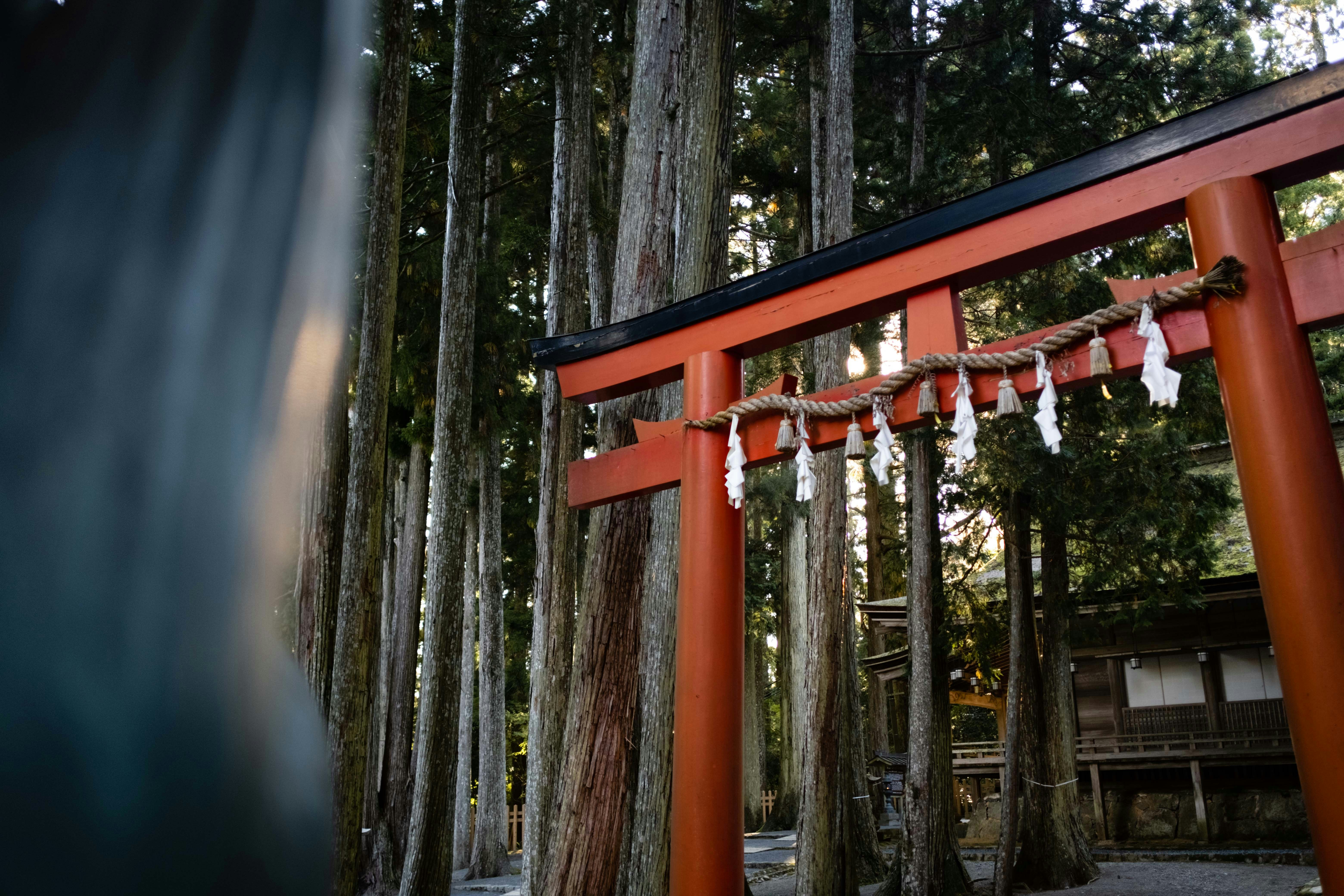 Photo by ilvagabiondo