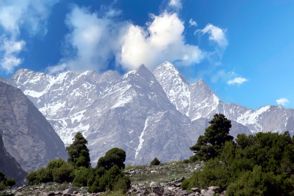 a view of a mountain range with trees in the foreground