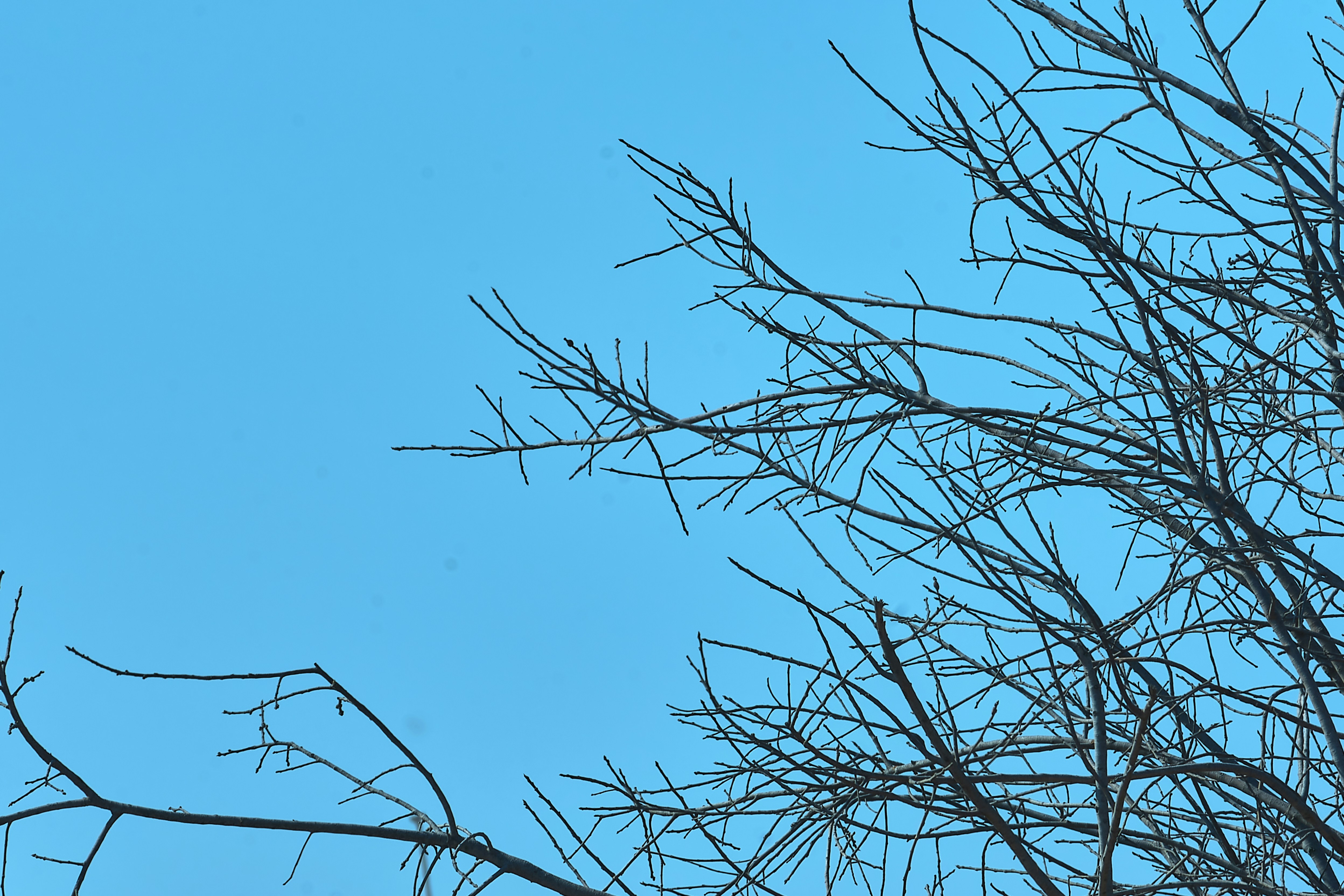 Photo by venkatselvaraj