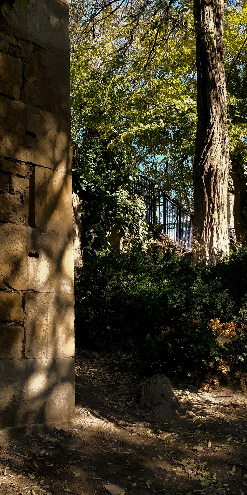 a bench sitting in the shade of a tree