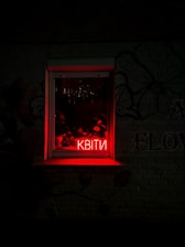 A dimly lit window with a vibrant red neon sign displaying the word 'КВІТИ'. The sign casts a warm glow on the window ledge and surrounding brick wall. Inside, faint silhouettes of potted plants are visible, adding a touch of nature to the urban setting.