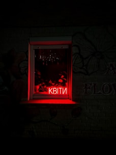 A dimly lit window with a vibrant red neon sign displaying the word 'КВІТИ'. The sign casts a warm glow on the window ledge and surrounding brick wall. Inside, faint silhouettes of potted plants are visible, adding a touch of nature to the urban setting.