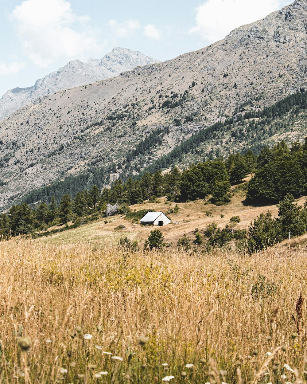 Una casa en medio de un campo con montañas al fondo