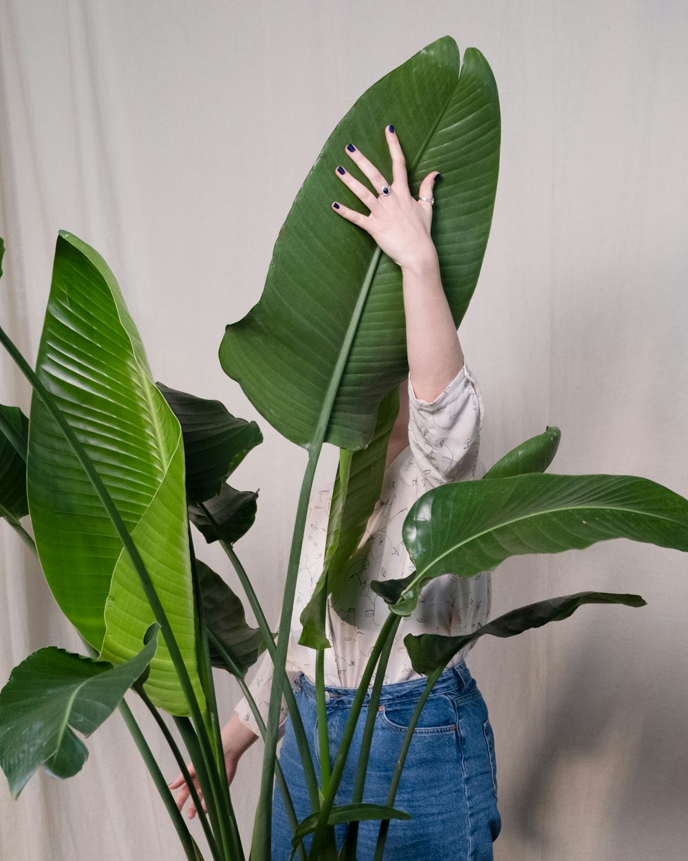 a woman hiding behind a large green plant