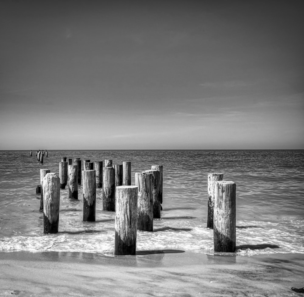 a black and white photo of wooden posts in the water