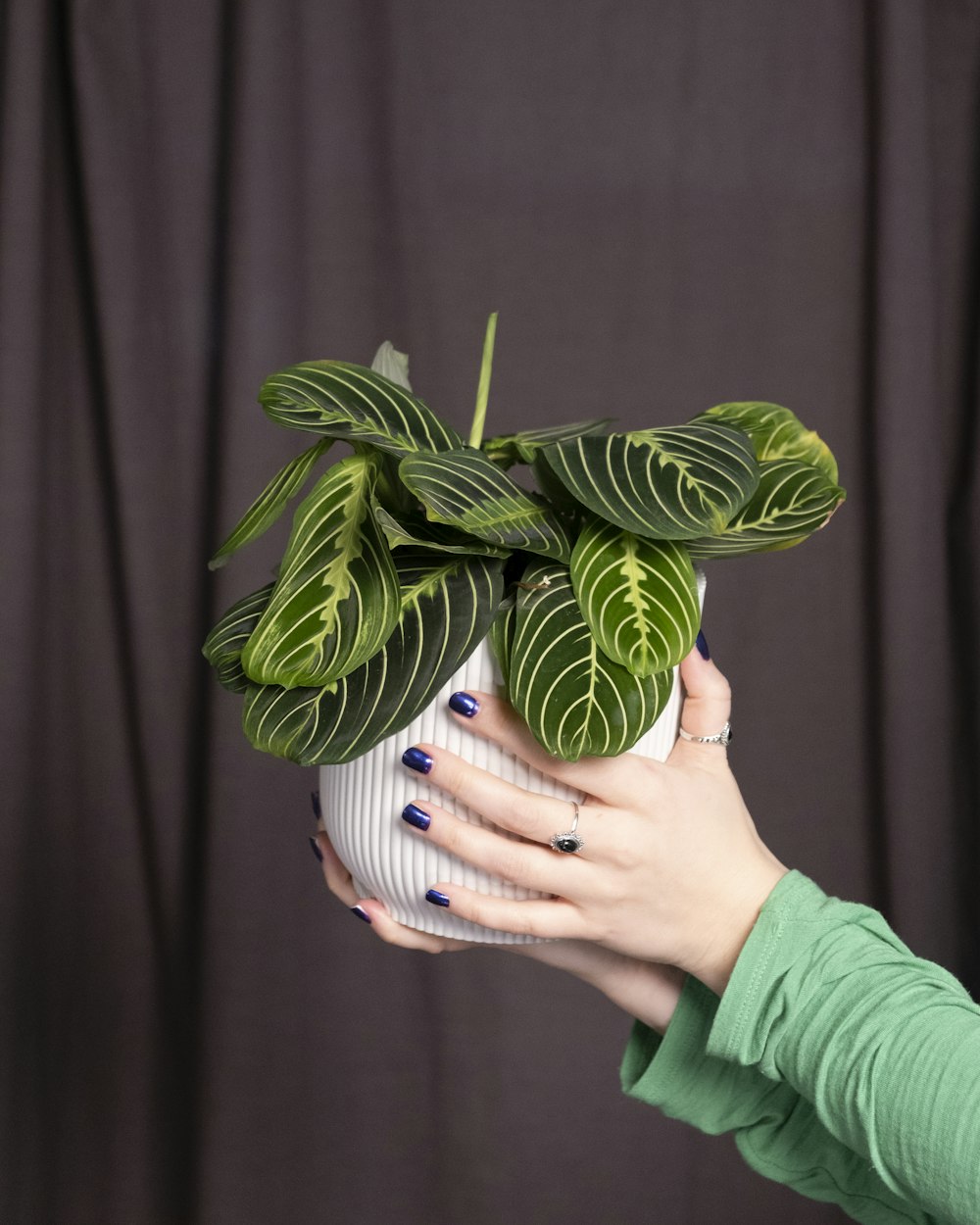 a woman holding a plant in a white vase