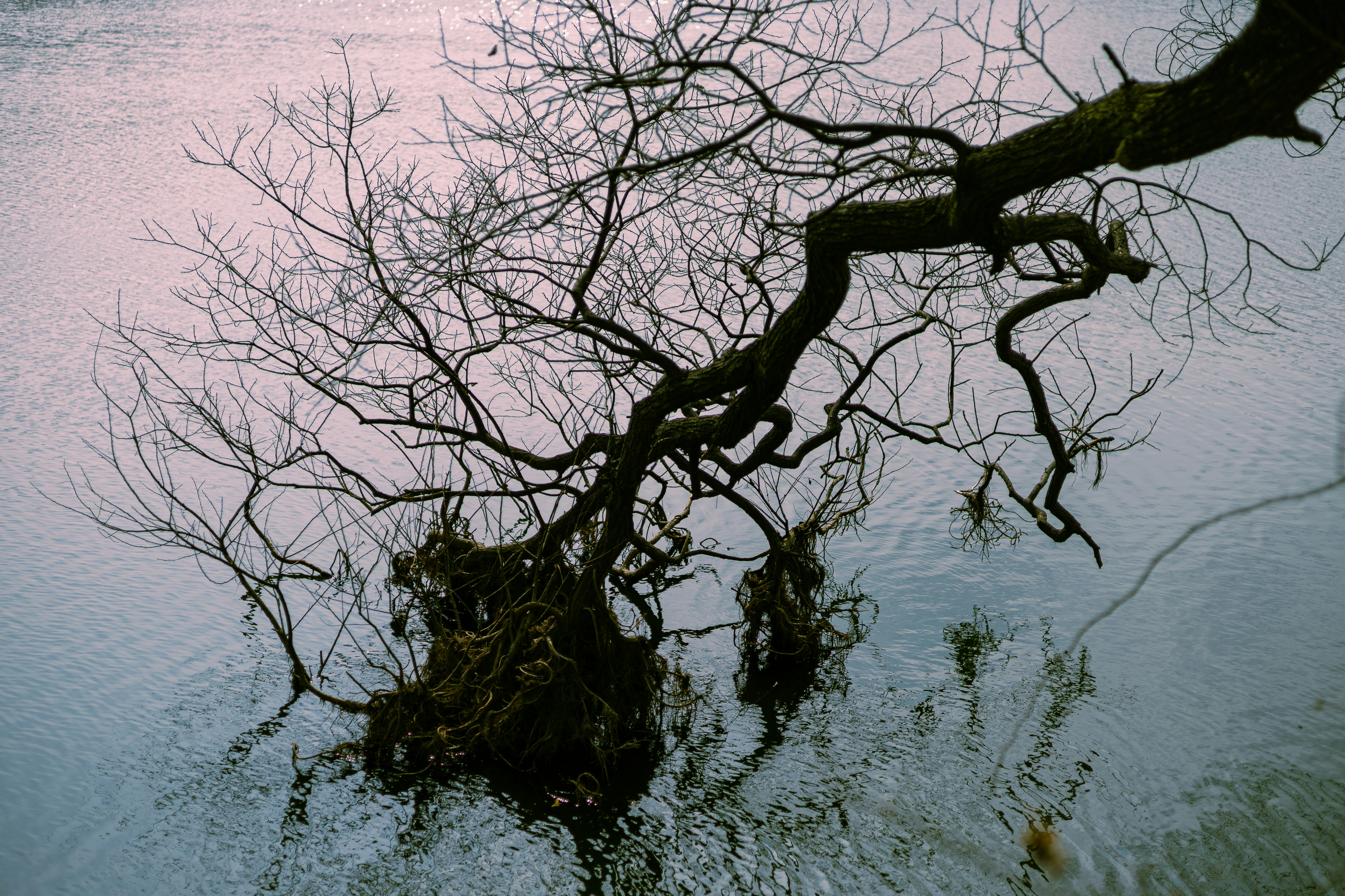 Photo by parkseongjin