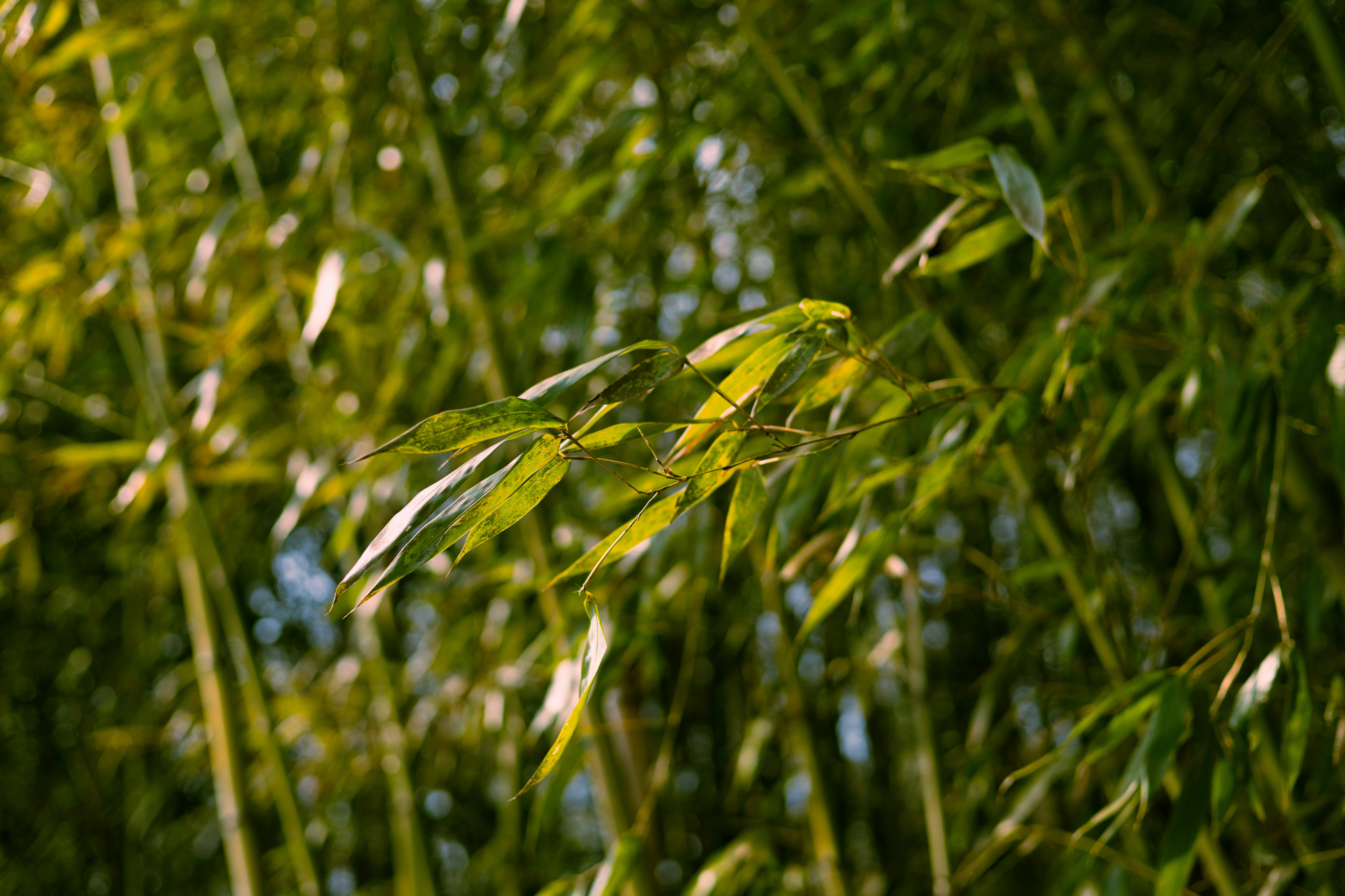 Photo by parkseongjin