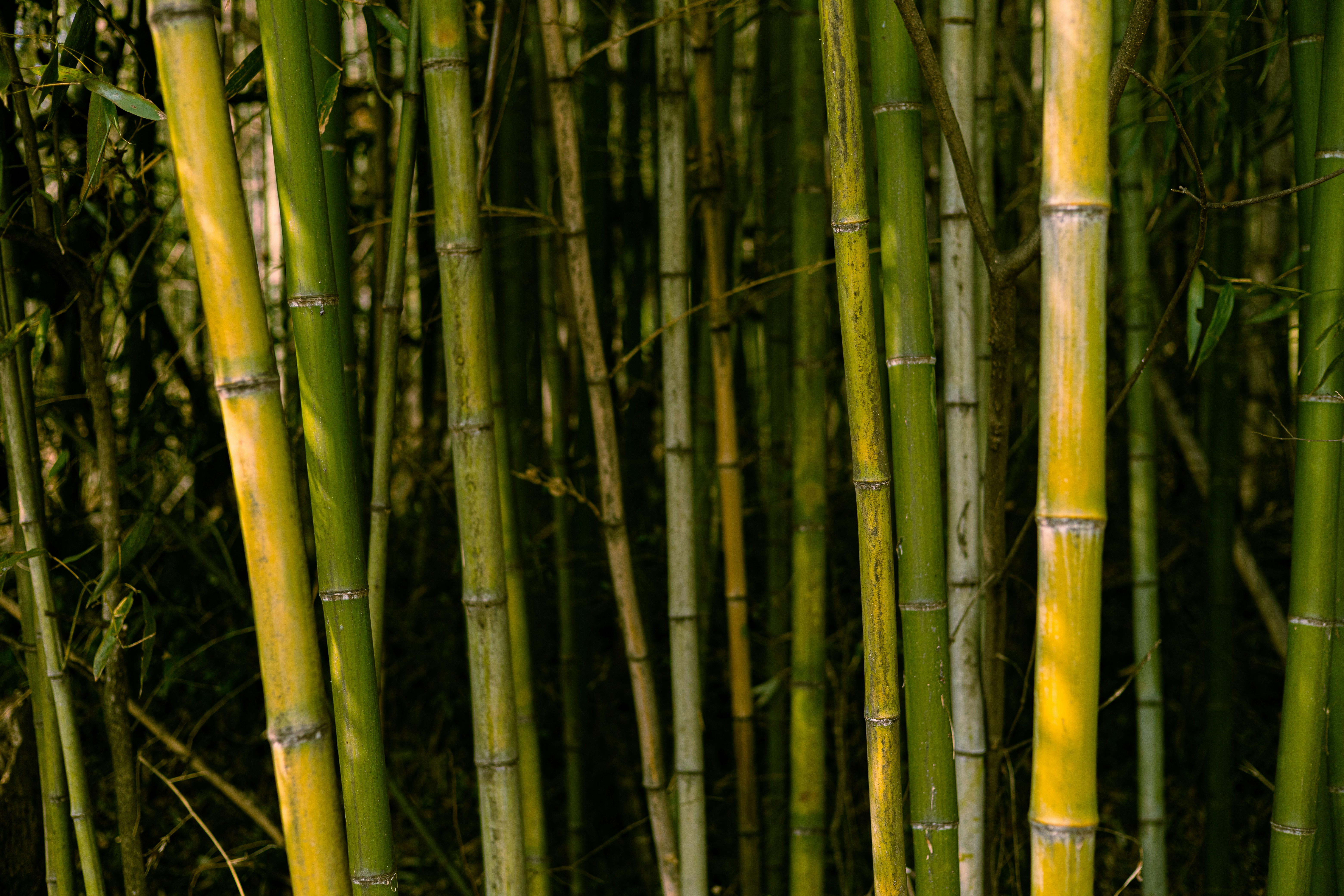 Photo by parkseongjin