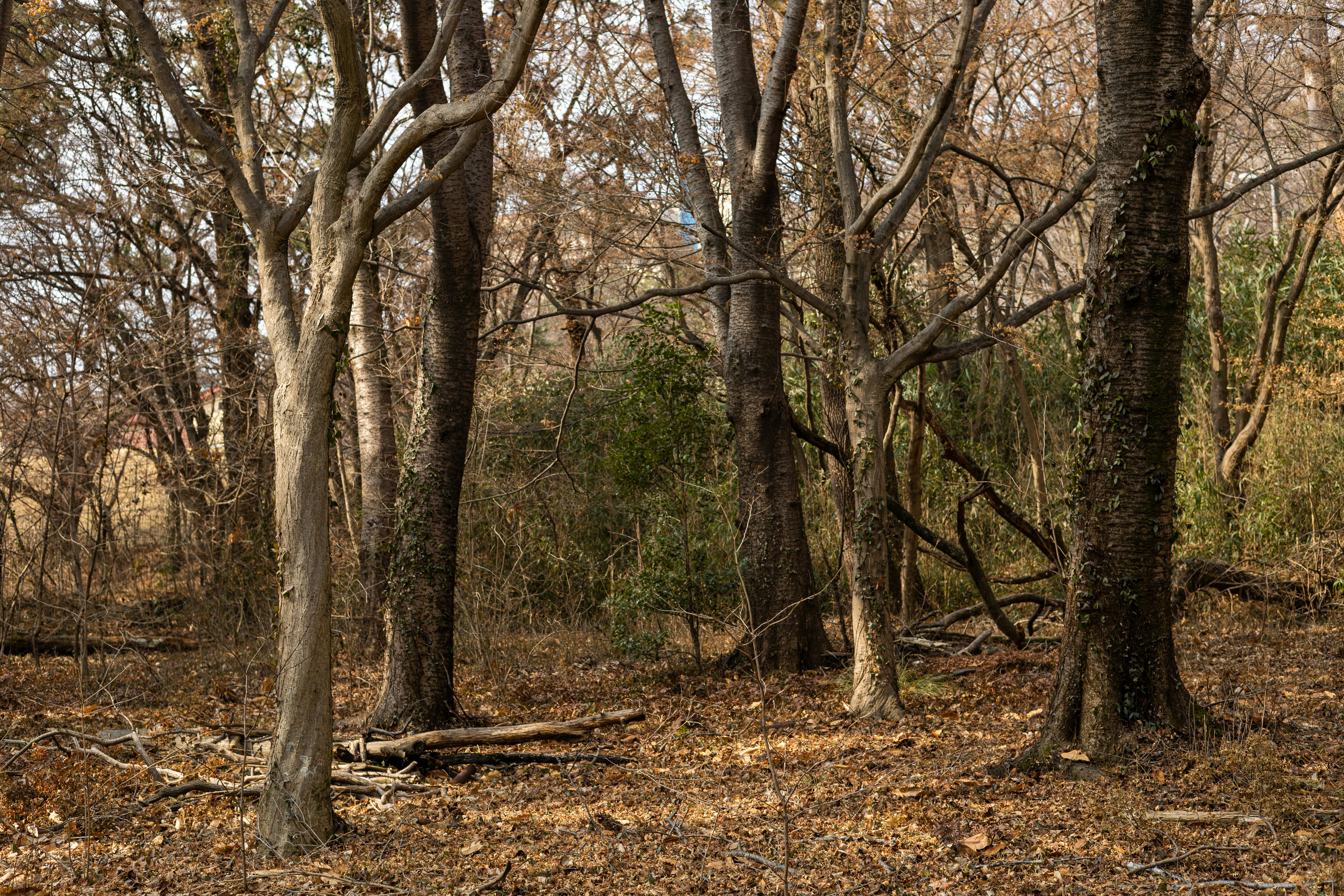 Photo by parkseongjin