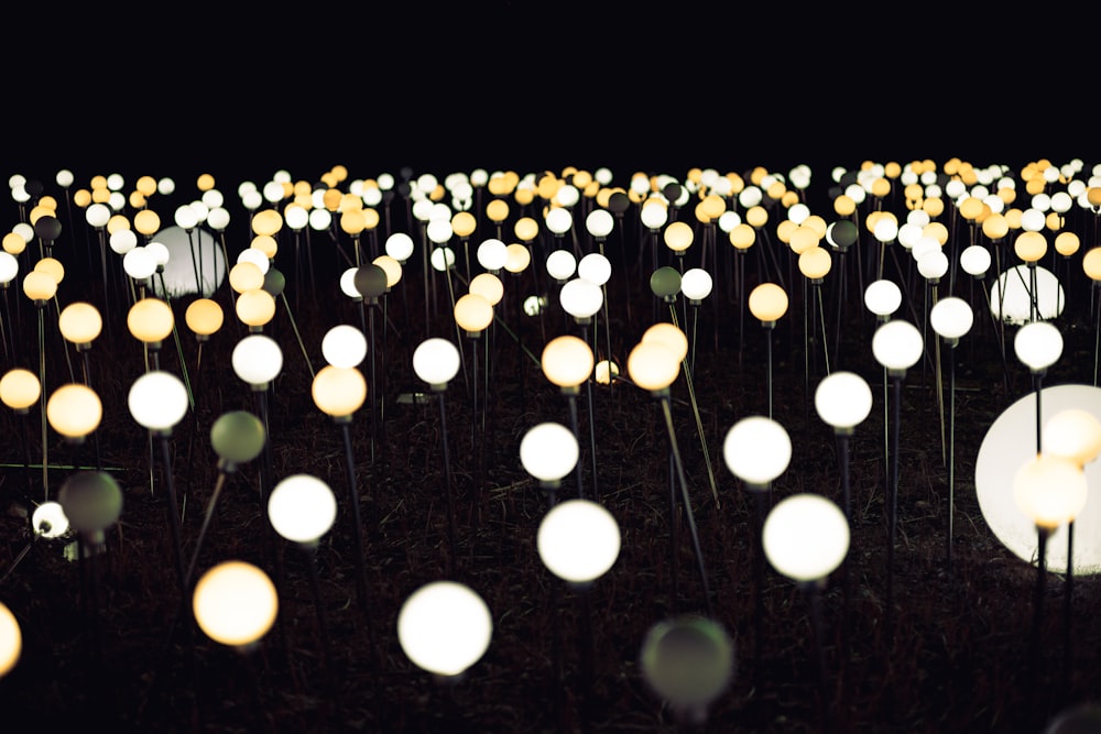 a field full of white and yellow lights