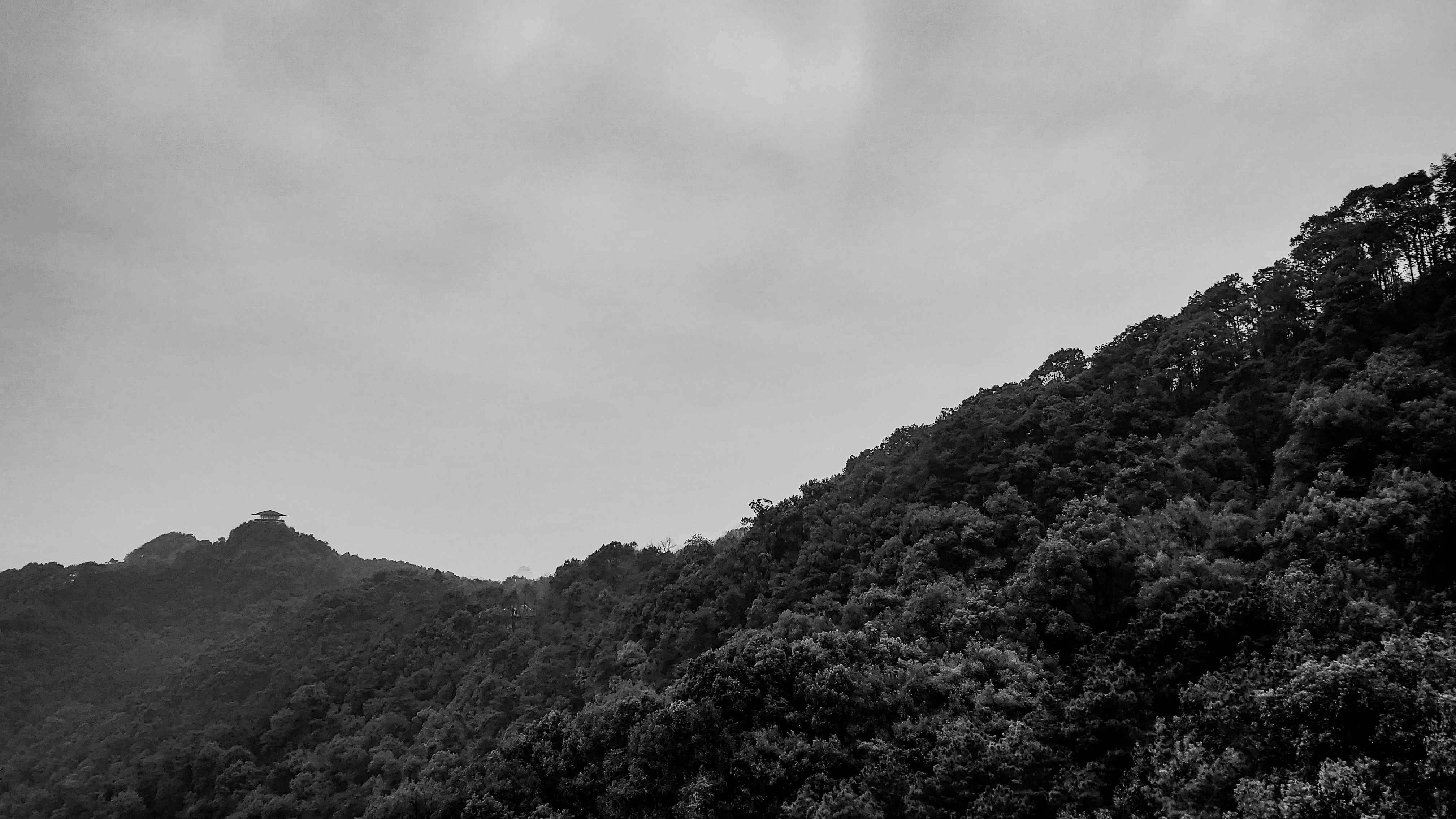 Photo by hypocriteeeee