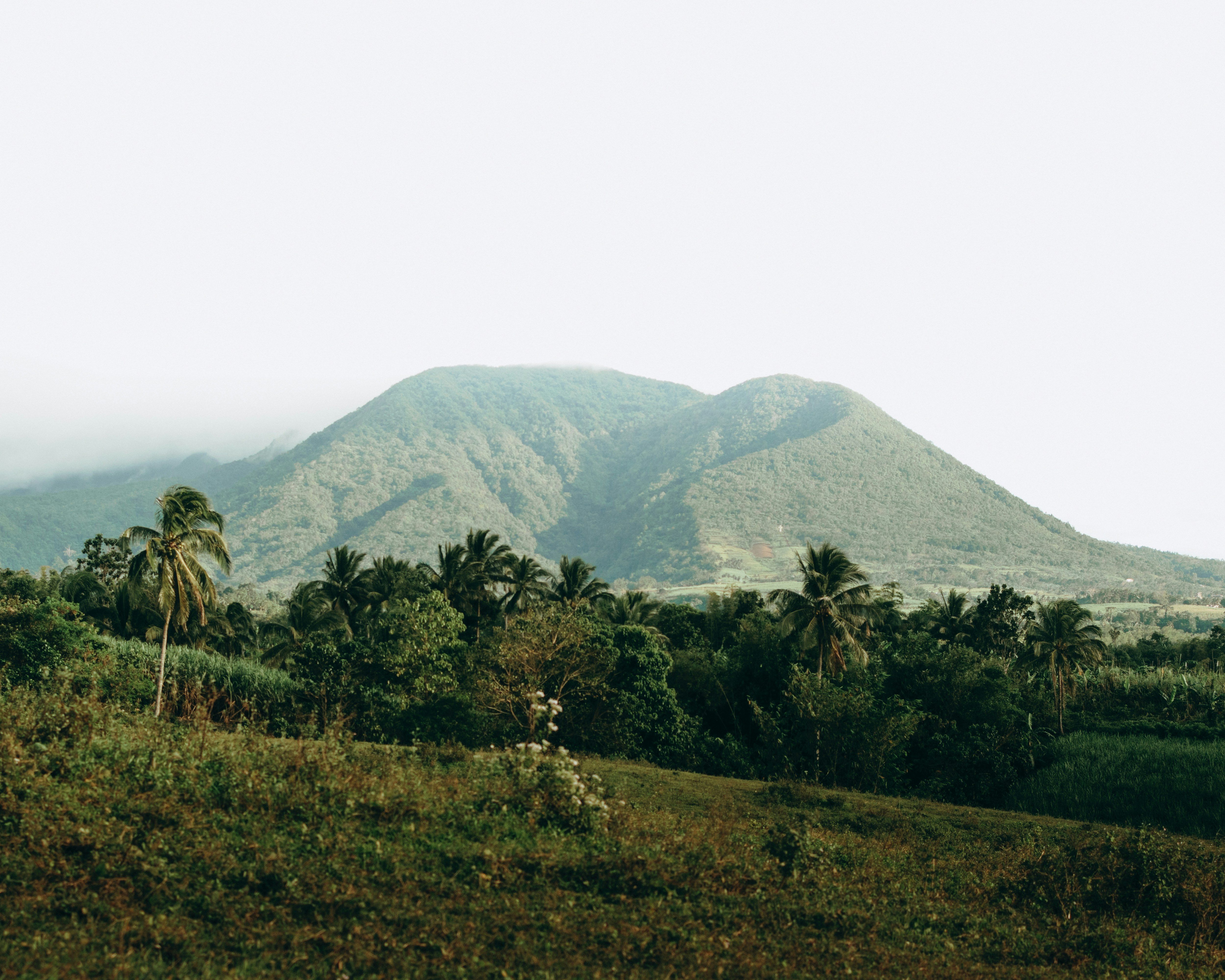 Photo by sbellocillo