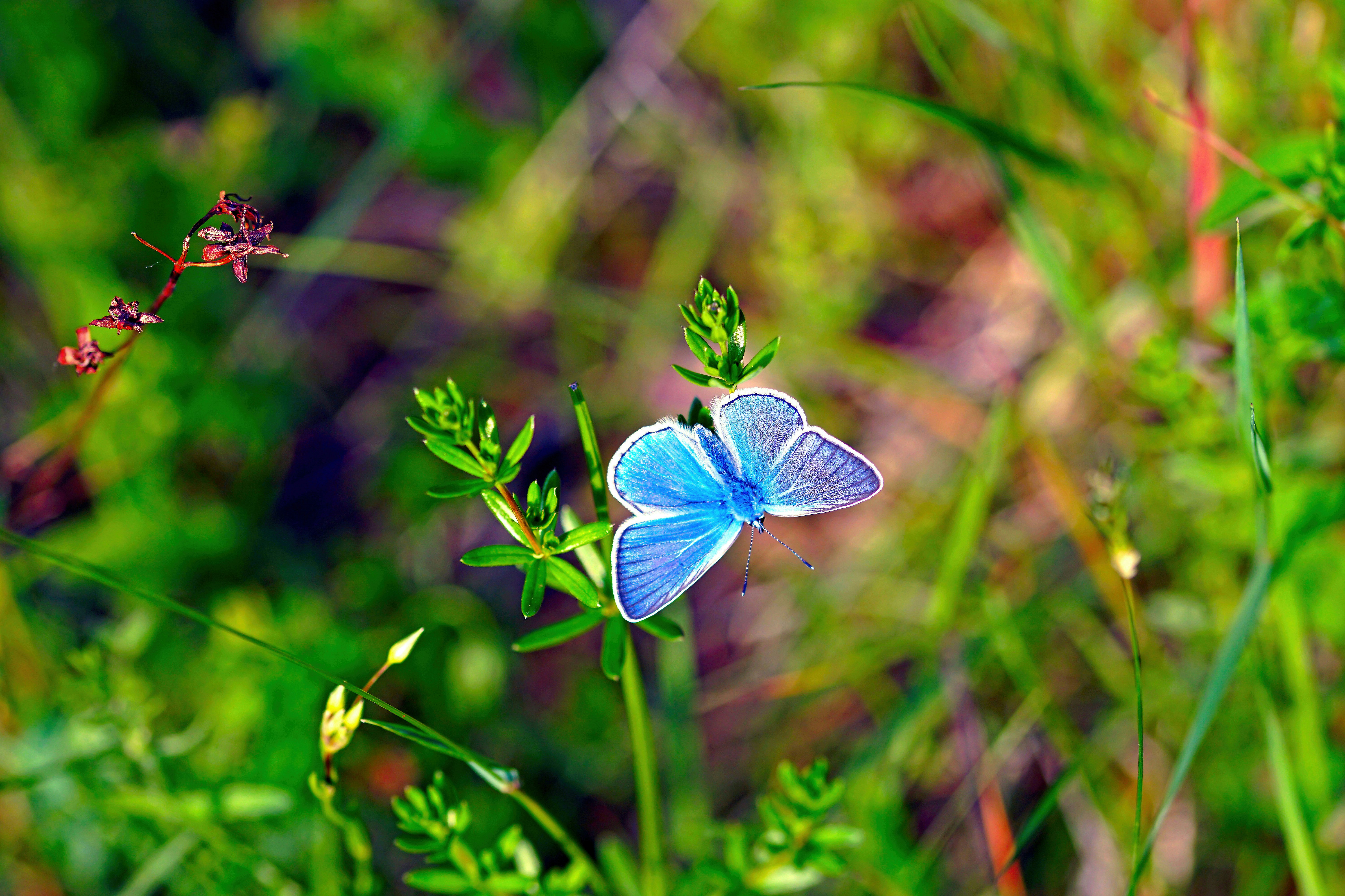 Photo by joijiojo