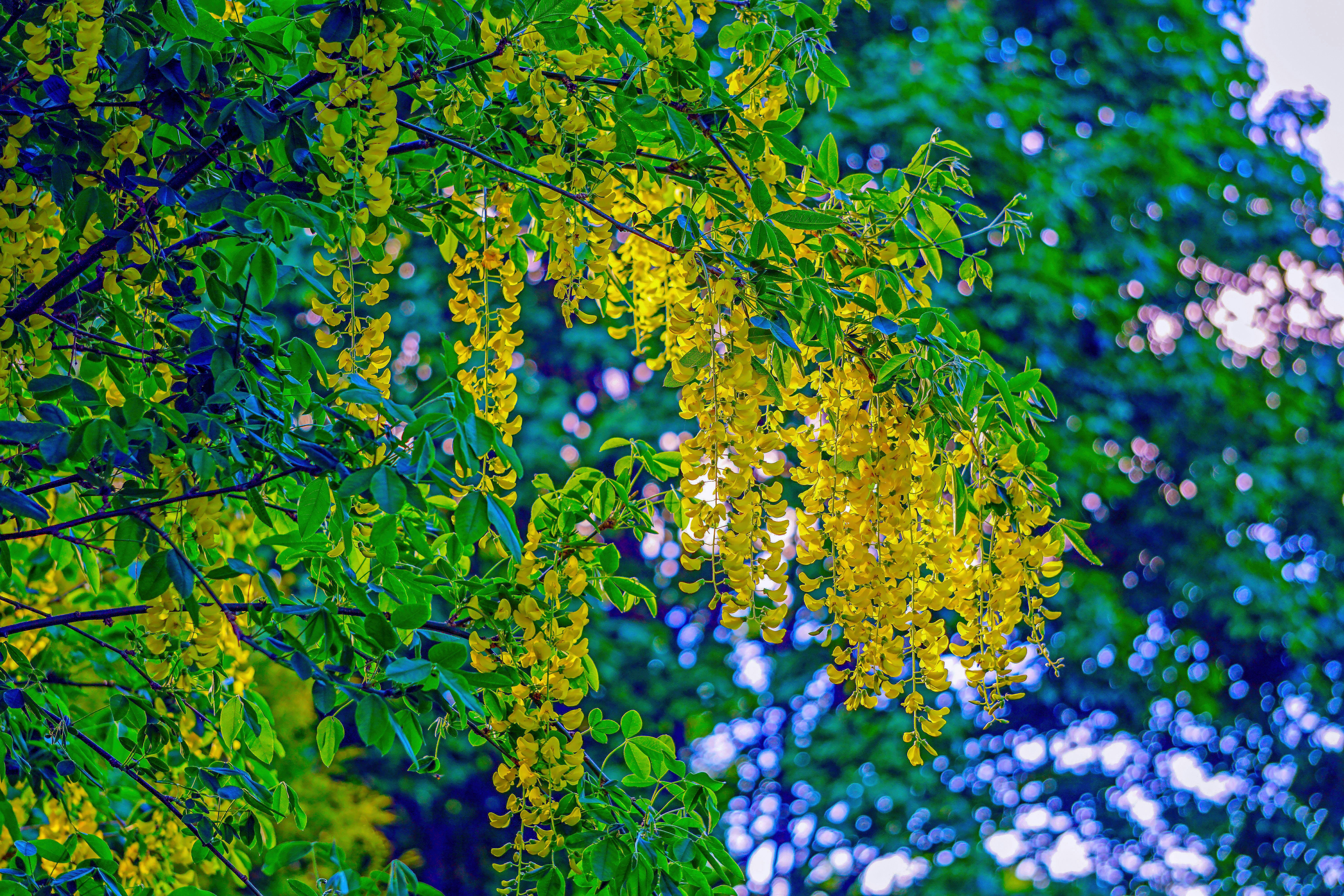 Photo by joijiojo