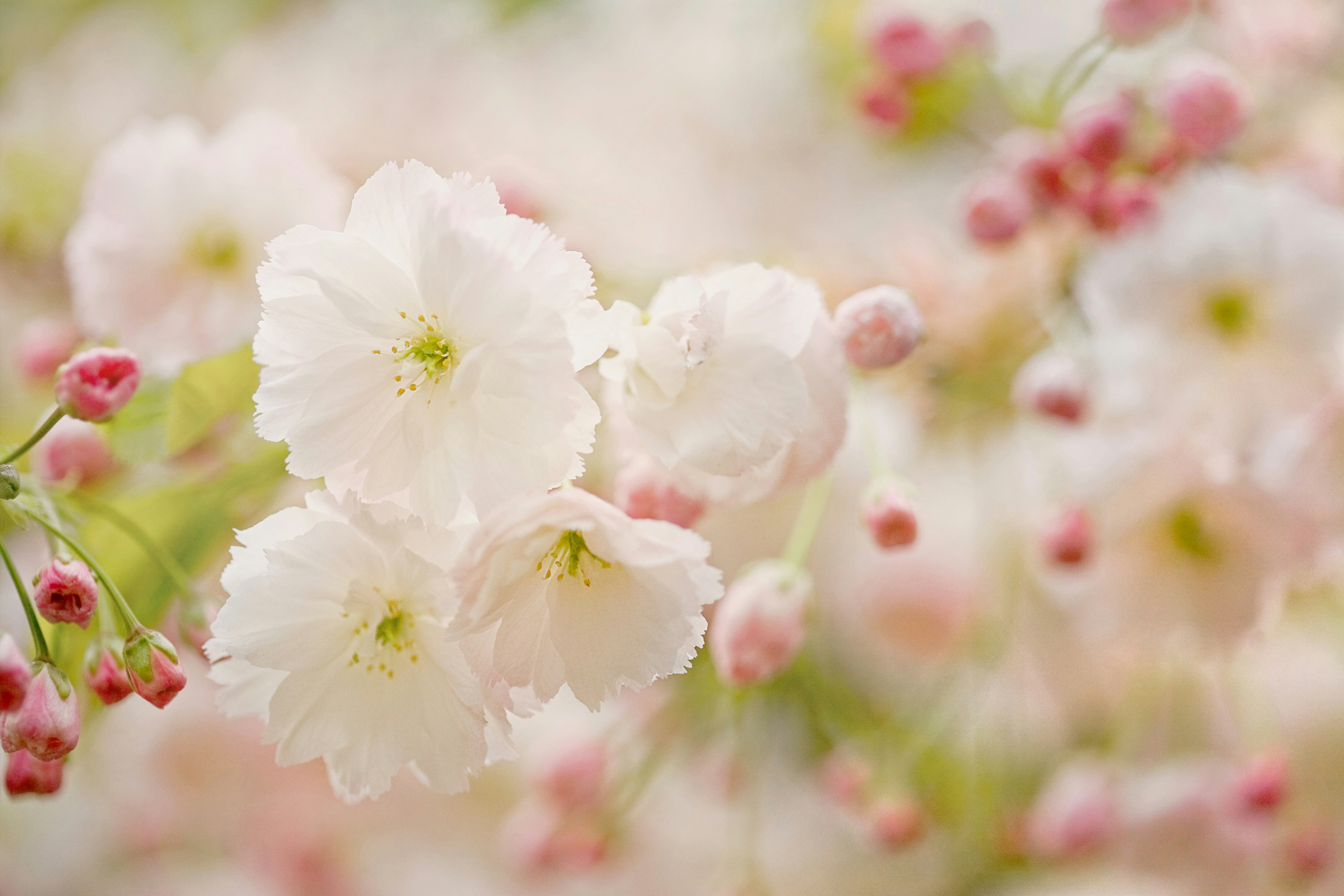 Photo by nataliekinnear