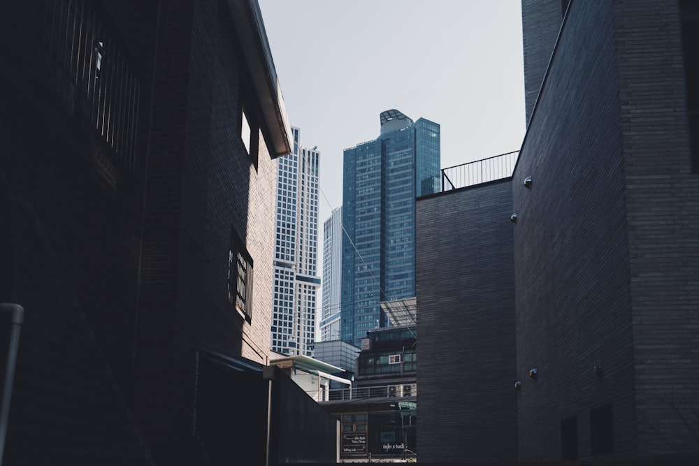 a city street with tall buildings in the background