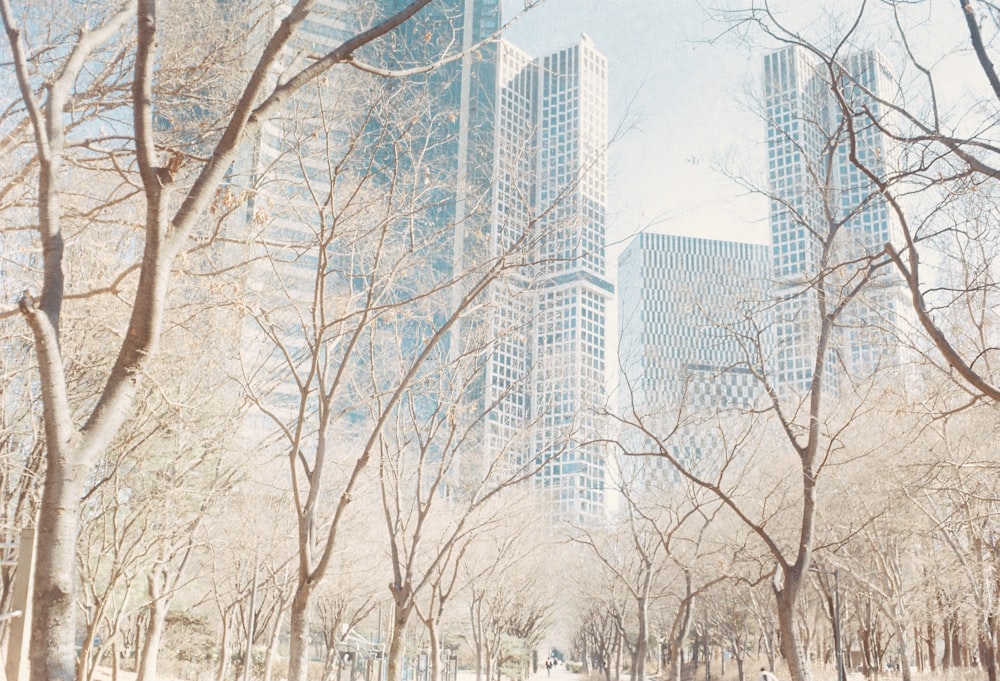 a city street with tall buildings in the background