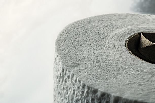 A close-up of a high-quality toilet paper holder from doroshchuks.