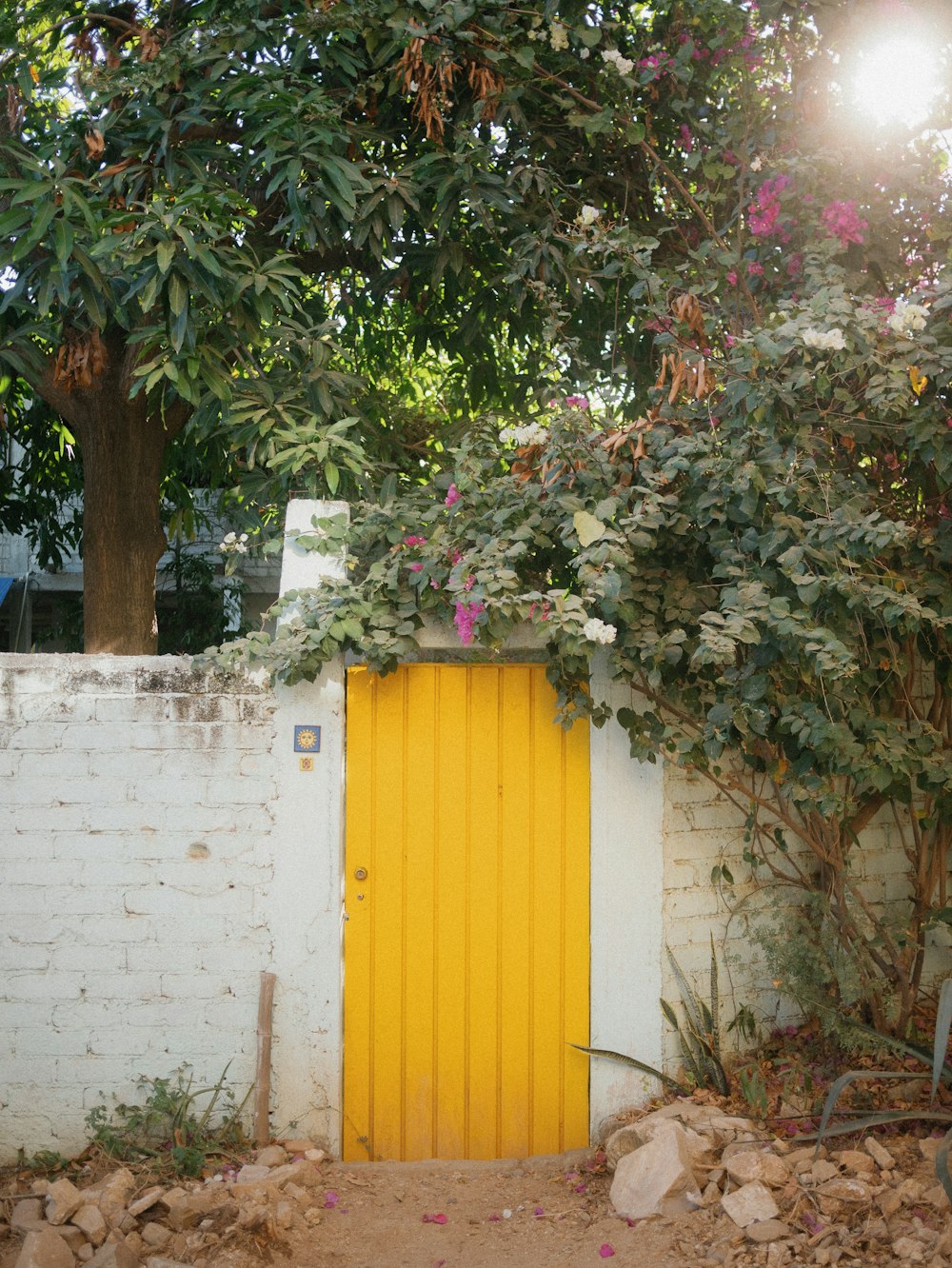 a yellow door in a white wall surrounded by trees