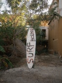 A surfboard with graffiti reading 'Surf House' is propped upright against a patch of dirt and foliage. The surrounding area features lush green leaves and branches, and there's a building wall visible to the right.