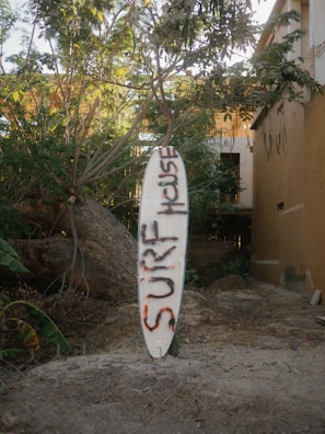 A surfboard with graffiti reading 'Surf House' is propped upright against a patch of dirt and foliage. The surrounding area features lush green leaves and branches, and there's a building wall visible to the right.