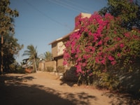 a house with pink flowers growing on the side of it