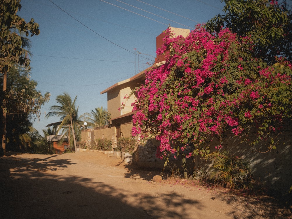 a house with pink flowers growing on the side of it