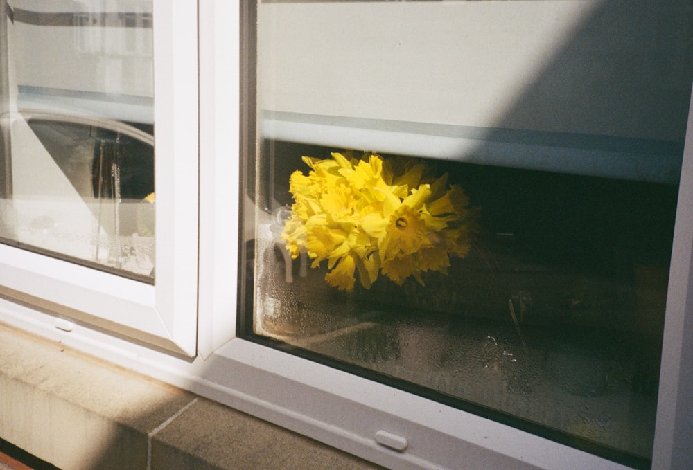 a yellow flower sitting in a window sill