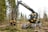 A modern forestry machine with a long articulated arm is actively cutting and processing trees in a forested area. It has large, robust wheels adapted for rough terrain and is surrounded by felled trees and fresh logs.