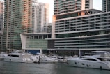 A marina filled with numerous white yachts and boats docked on calm water in front of modern high-rise buildings. The buildings feature a sleek, contemporary design with large glass windows and multiple balconies. The area appears to be a bustling urban setting with a focus on luxury and waterfront living.