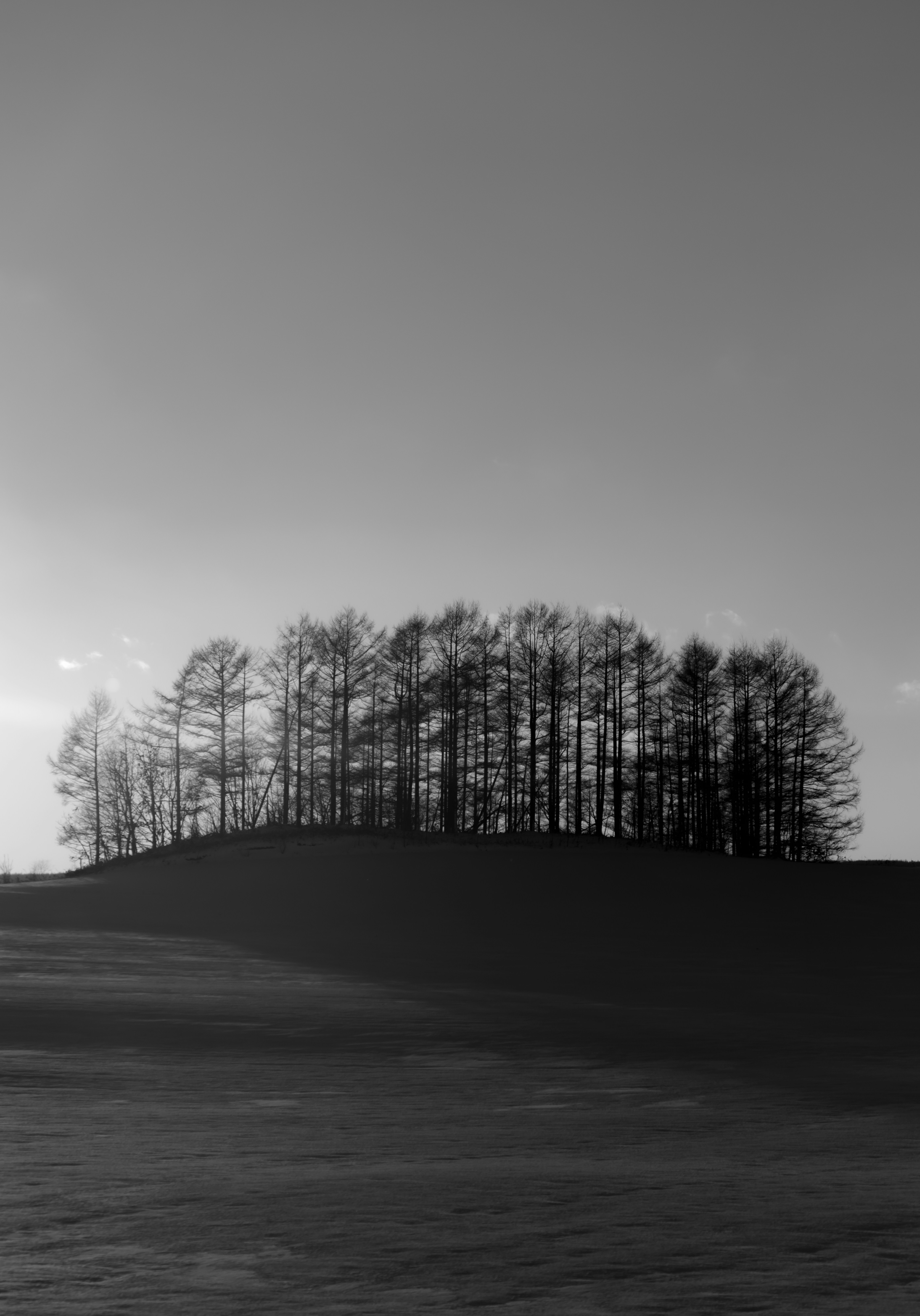 Photo by terra_gallery