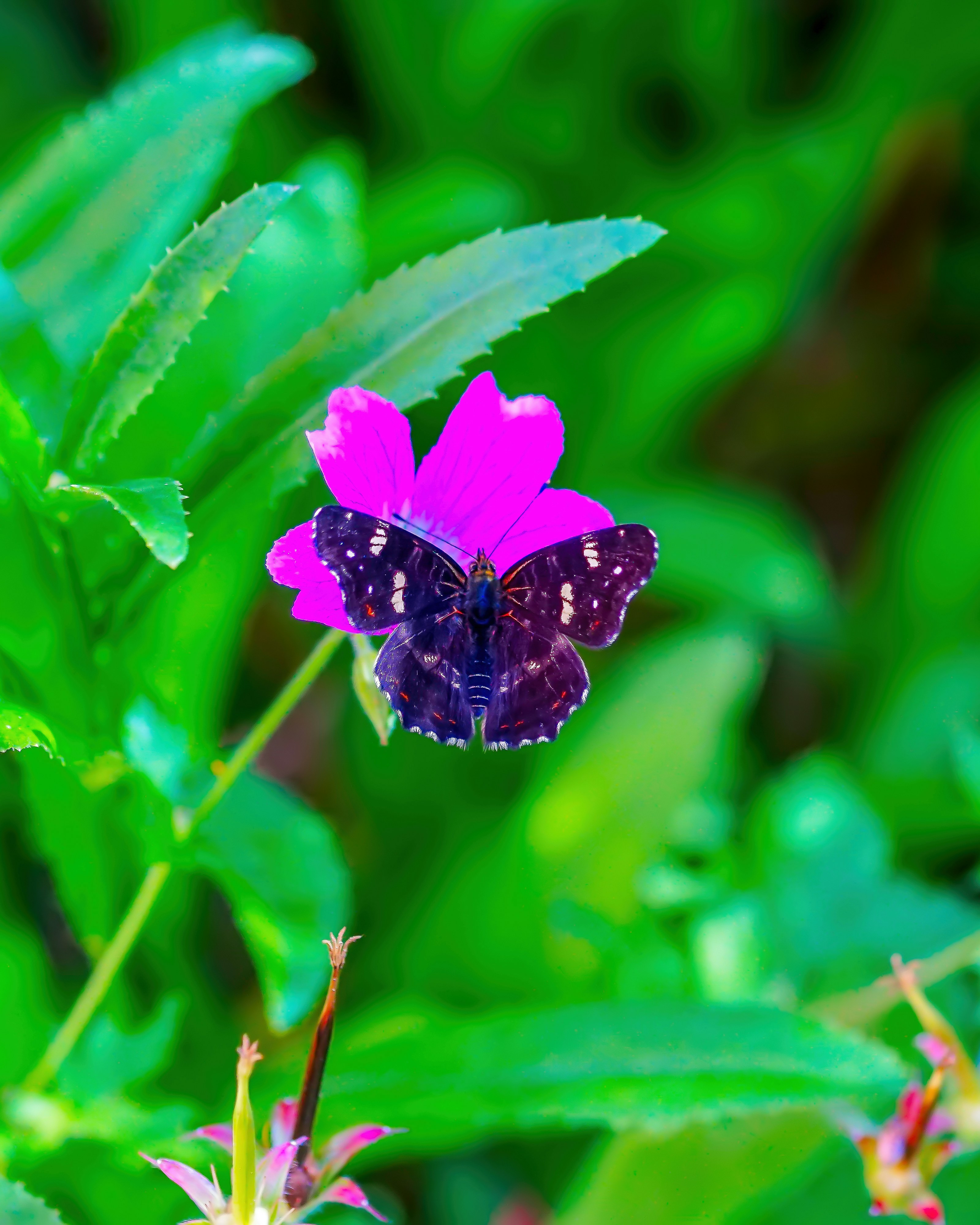 Photo by joijiojo