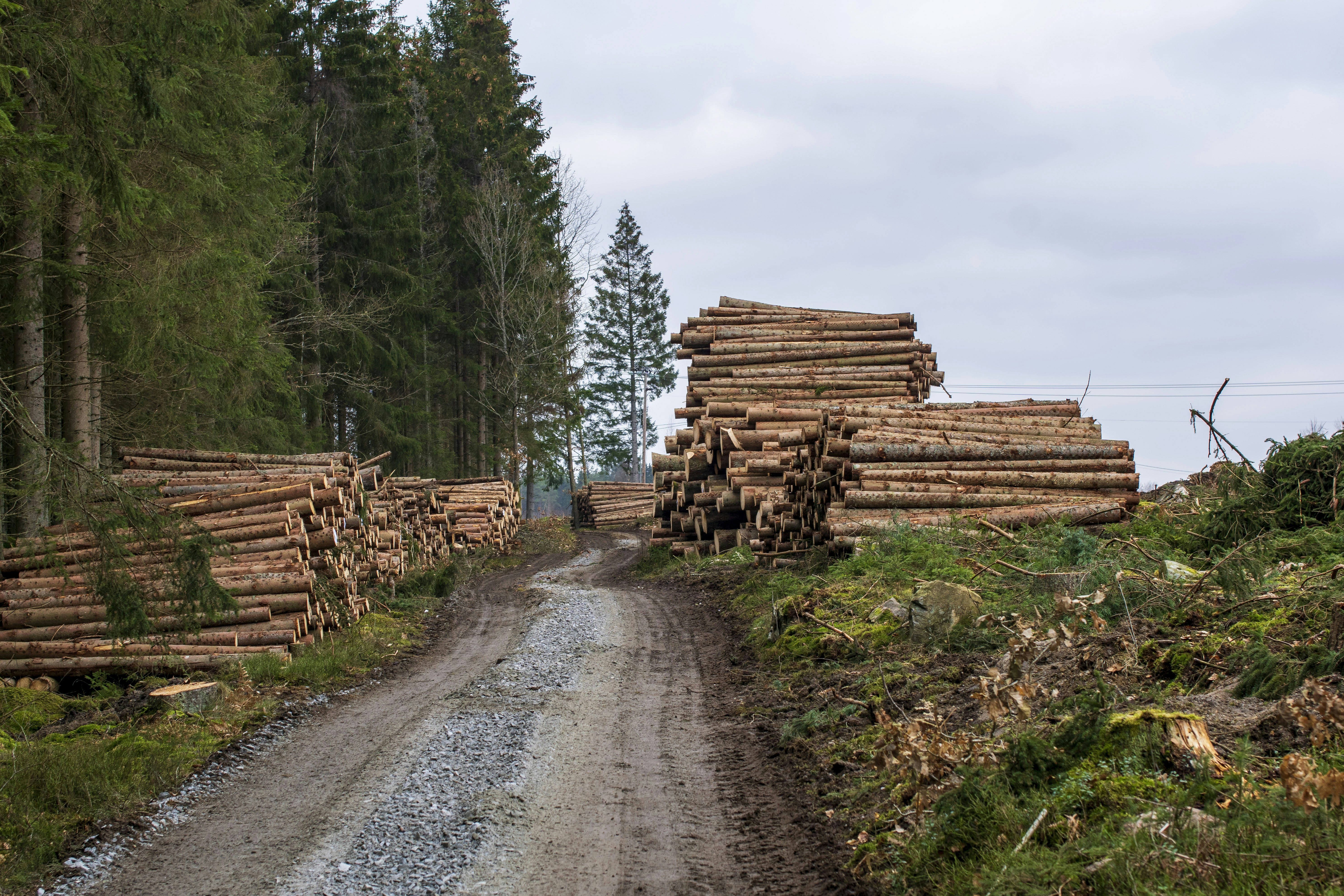 LogExpert Monitoring and logging