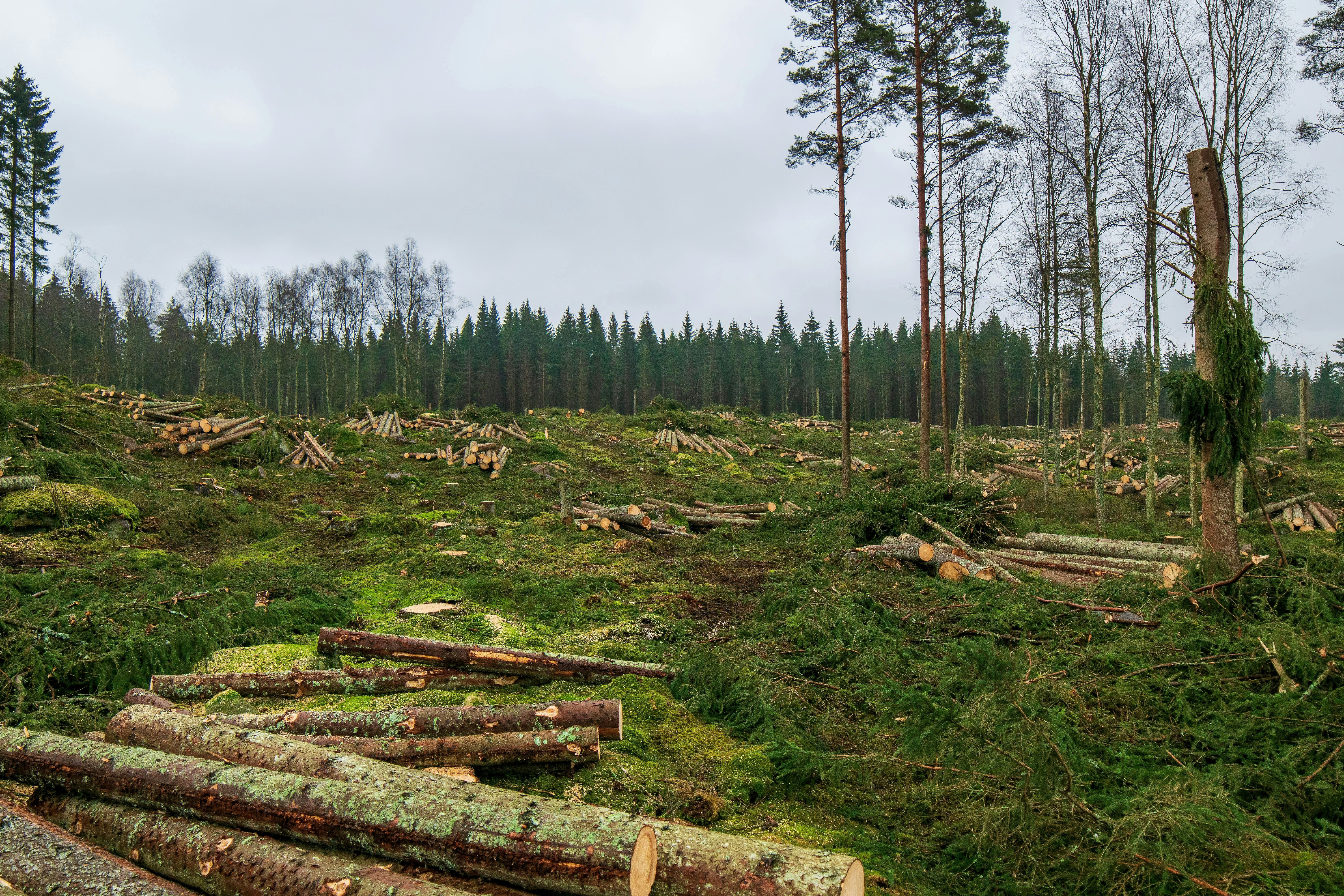 Zabbix Monitoring and logging