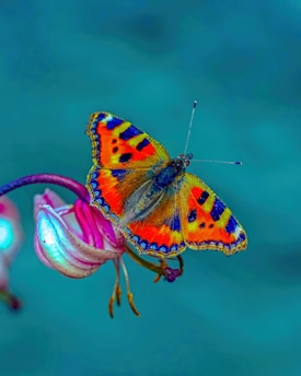 A gentle pastel violet butterfly resting on a soft lavender flower, symbolizing calm and emotional balance.