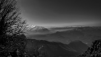 A black and white landscape features rugged mountain ranges with snow-covered peaks in the distance. The foreground is framed by the silhouette of bare tree branches, adding depth and contrast to the image. The sky is overcast, contributing to the moody atmosphere.