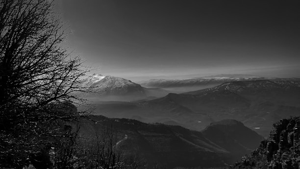 A black and white landscape features rugged mountain ranges with snow-covered peaks in the distance. The foreground is framed by the silhouette of bare tree branches, adding depth and contrast to the image. The sky is overcast, contributing to the moody atmosphere.