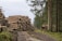 Large stacks of cut logs are arranged on the left side along a dirt path in a forest. Tall trees with thin trunks and green foliage are visible on the right, and the background shows more trees, indicating a logging area.