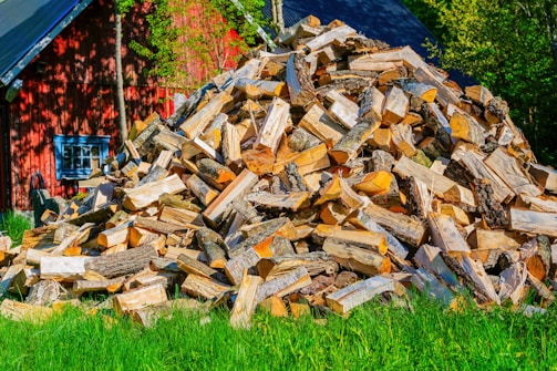 A large pile of chopped firewood is stacked on a green grassy area, with a red wooden building in the background partially obscured by trees. The wood pieces vary in size and are primarily light-colored with bark still attached to some.