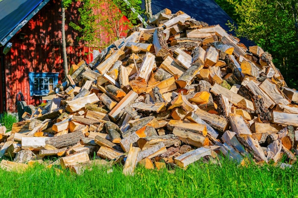 A large pile of chopped firewood is stacked on a green grassy area, with a red wooden building in the background partially obscured by trees. The wood pieces vary in size and are primarily light-colored with bark still attached to some.