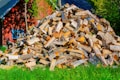 A large pile of chopped firewood is stacked on a green grassy area, with a red wooden building in the background partially obscured by trees. The wood pieces vary in size and are primarily light-colored with bark still attached to some.